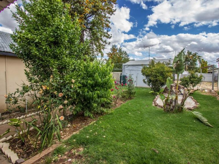 114 Yapunyah Street, Barellan NSW 2665 - photo 9