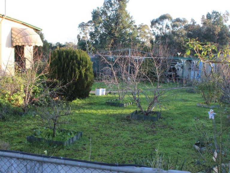 23 Cassiterite Street, Ardlethan NSW 2665 - photo 21