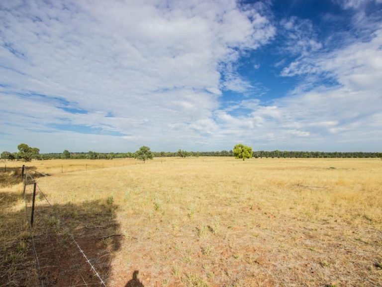 123 Red Hill Road, Narrandera NSW 2700 - photo 11