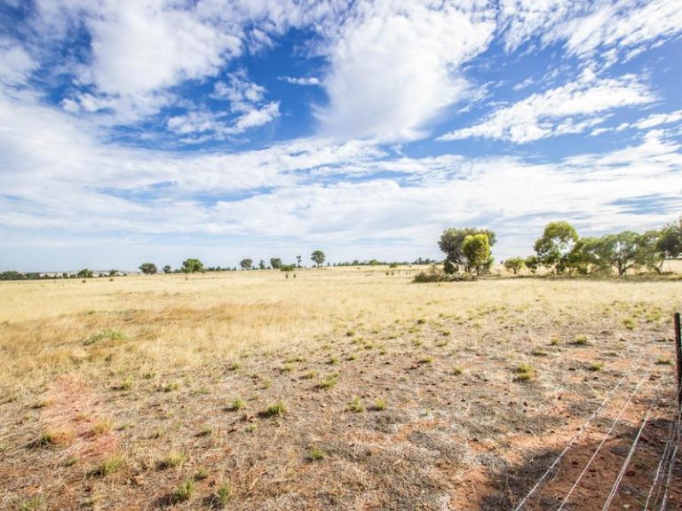 123 Red Hill Road, Narrandera NSW 2700 - photo 12