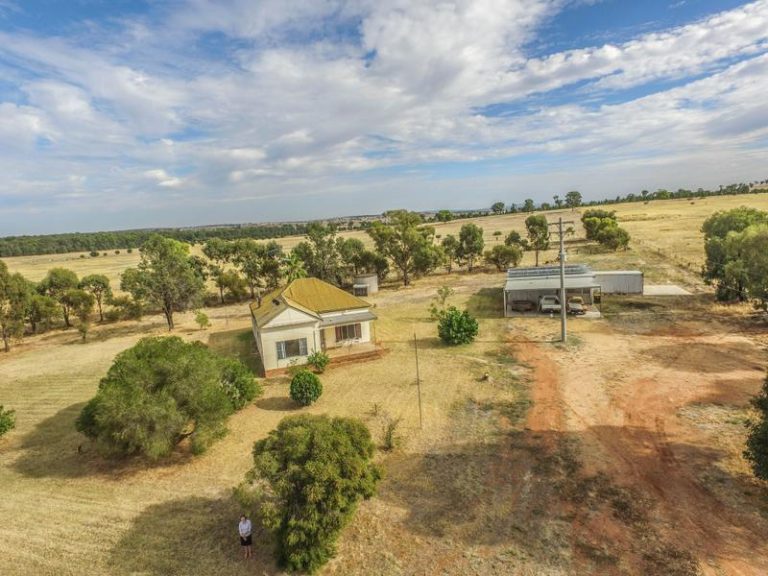 123 Red Hill Road, Narrandera NSW 2700 - photo 4