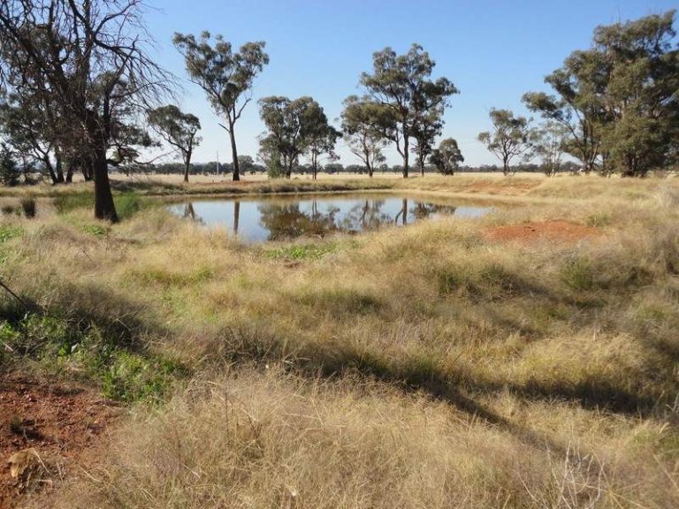 16 Harrier Street, Temora NSW 2666 - photo 3