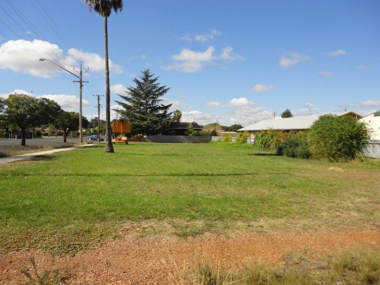 151 Deboos Street, Temora NSW 2666 - photo 2