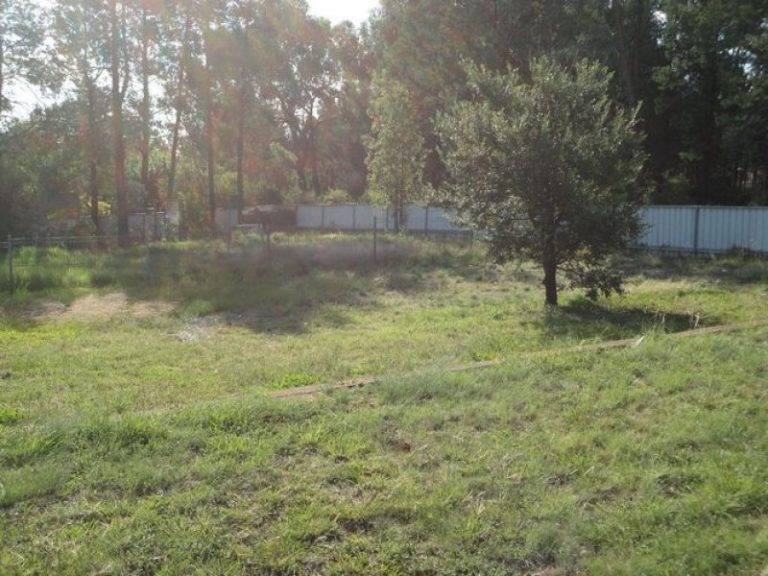 62 Haig Street, Temora NSW 2666 - photo 3
