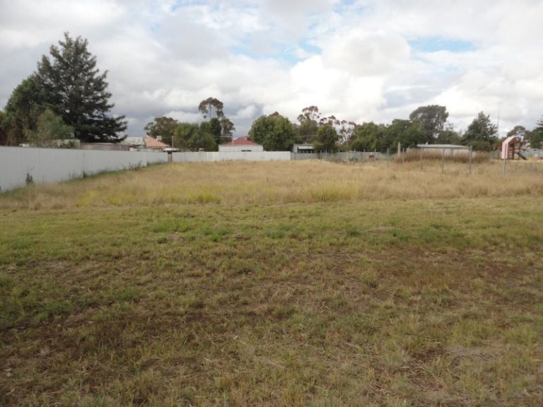 183 Camp Street, Temora NSW 2666 - photo 3