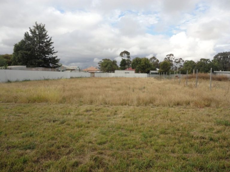 183 Camp Street, Temora NSW 2666 - photo 4
