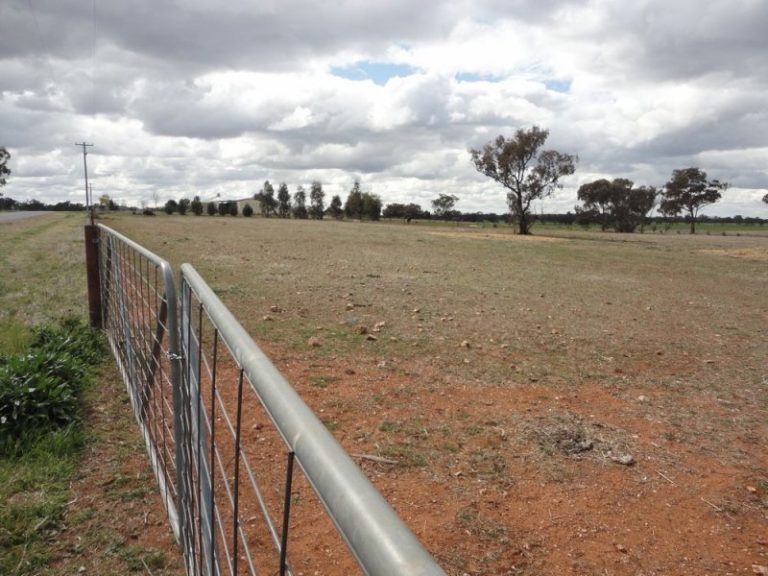 4 Harrier Street, Temora NSW 2666 - photo 4