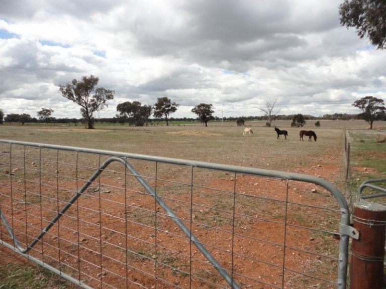 4 Harrier Street, Temora NSW 2666 - McGrath Riverina