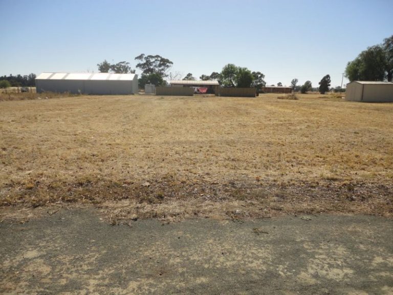 99 Queen Street, Barmedman NSW 2668 - photo 4