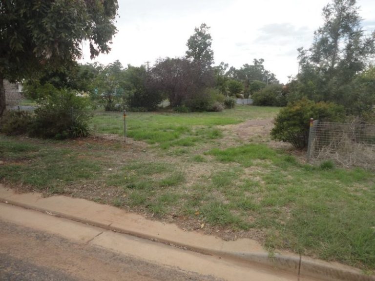 100 Tonkin Street, Temora NSW 2666 - photo 2