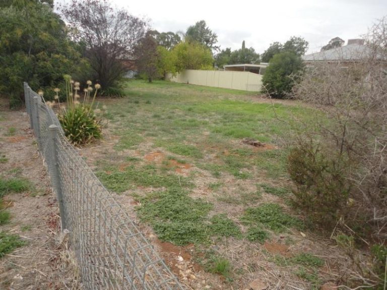 100 Tonkin Street, Temora NSW 2666 - photo 3