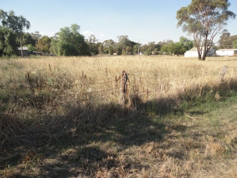 76 Hibernia Street, Stockinbingal NSW 2725 - photo 3