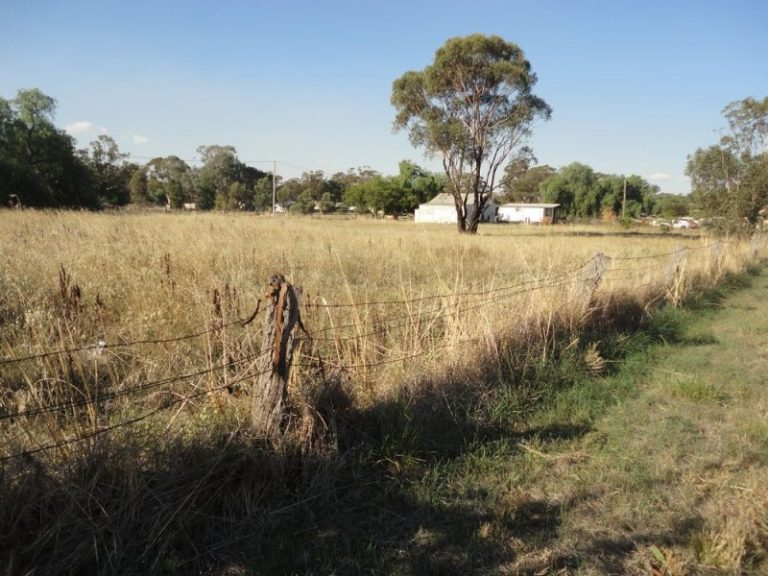 76 Hibernia Street, Stockinbingal NSW 2725 - McGrath Riverina