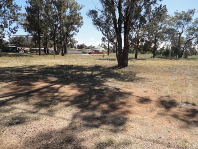 11 Hopetoun Street, Ariah Park NSW 2665 - McGrath Riverina