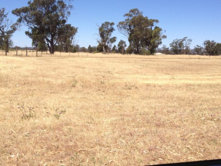 25 Deboos Street, Barmedman NSW 2668 - McGrath Riverina