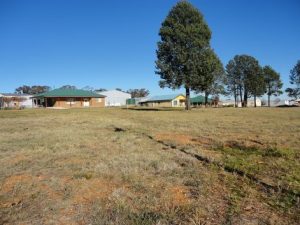 98 Airport Street, Temora NSW 2666 - photo 7