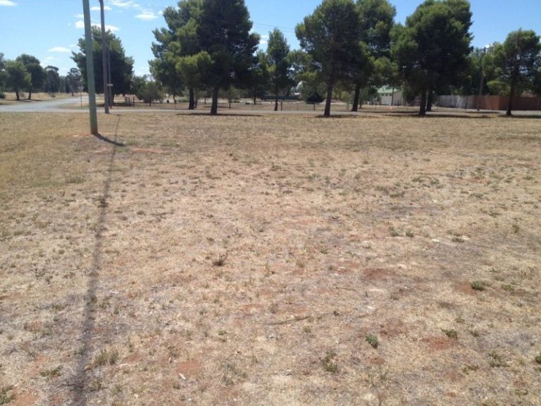 57-59 Robertson Street, Barmedman NSW 2668 - McGrath Riverina