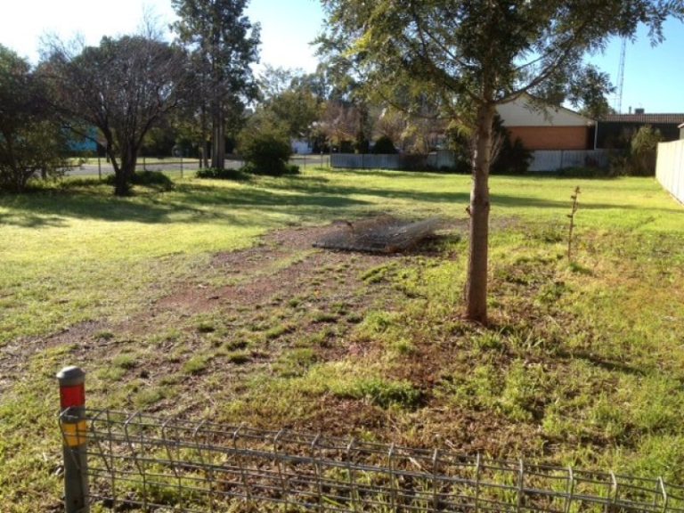 100 Tonkin Street, Temora NSW 2666 - photo 2