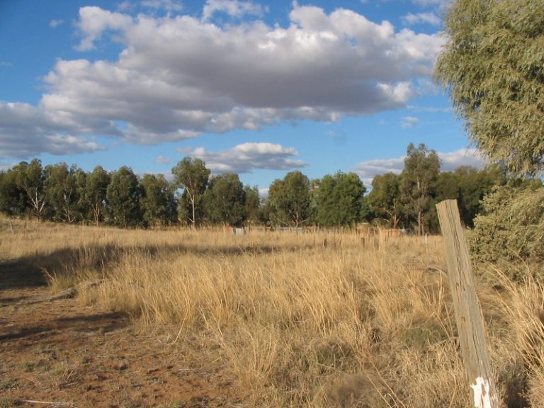 Lot 8 Joppa Street, Quandialla NSW 2721 - McGrath Riverina