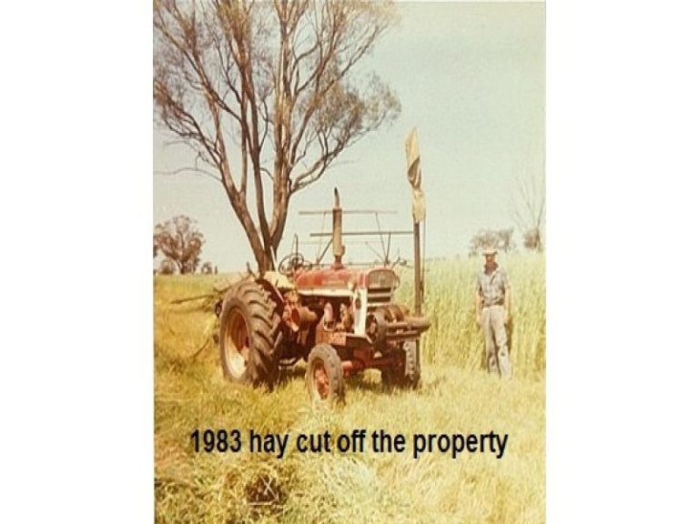 7599 Milvale Road, Temora NSW 2666 - photo 2