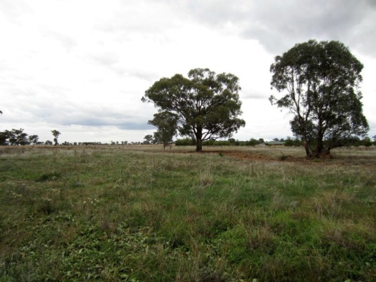 7599 Milvale Road, Temora