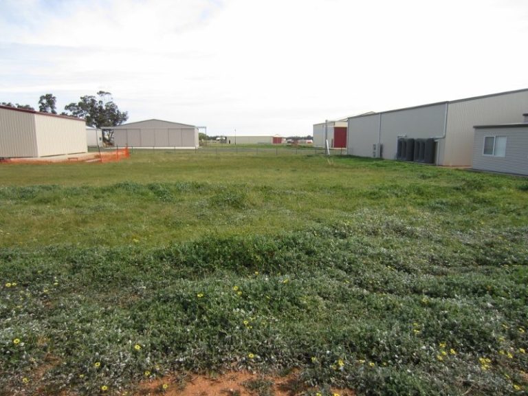 74 Airport Street, Temora NSW 2666 - photo 3