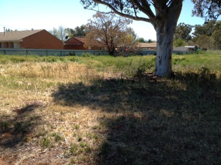 37 Trungley Hall Road, Temora NSW 2666 - photo 2