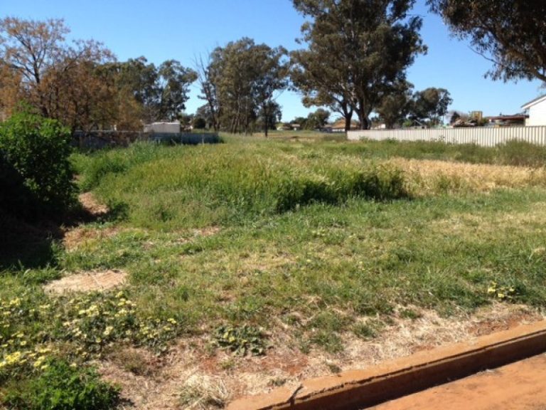 37 Trungley Hall Road, Temora NSW 2666 - McGrath Riverina