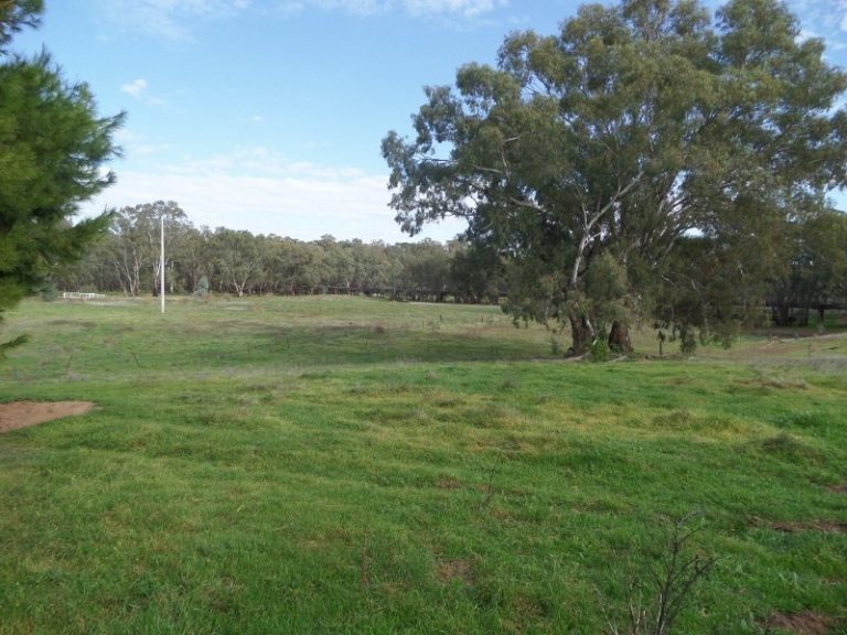 Lot 1, 10- Gundagai Street, Narrandera NSW 2700 - photo 2