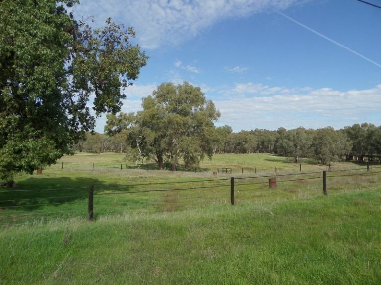 Lot 1, 10- Gundagai Street, Narrandera NSW 2700 - photo 3