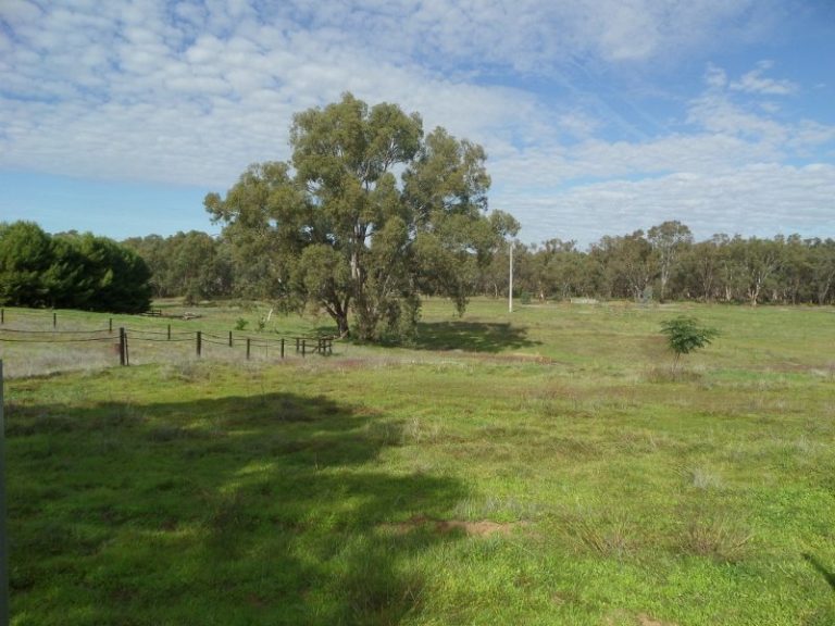 Lot 1, 10- Gundagai Street, Narrandera NSW 2700 - photo 5