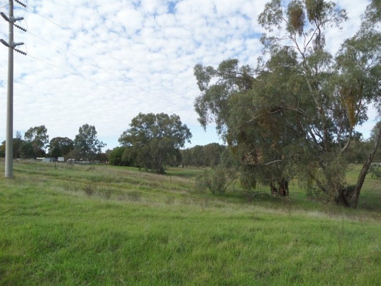 Lot 1, 10- Gundagai Street, Narrandera NSW 2700 - photo 7