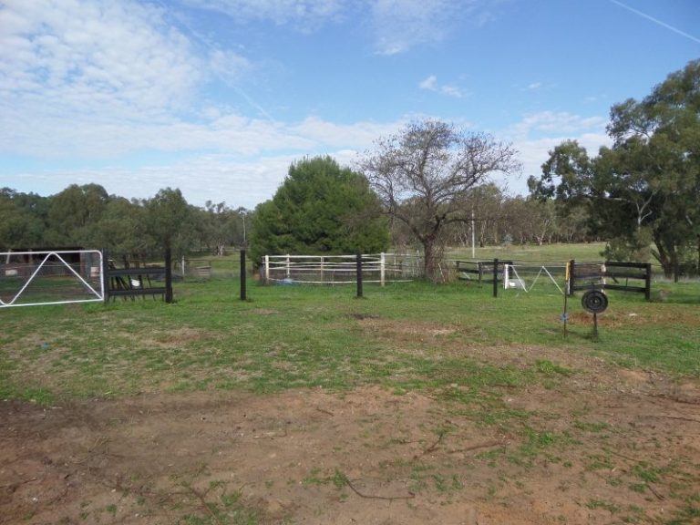 Lot 2, 10- Gundagai Street, Narrandera NSW 2700 - photo 2