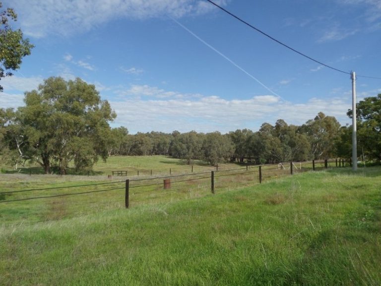 Lot 2, 10- Gundagai Street, Narrandera NSW 2700 - photo 11