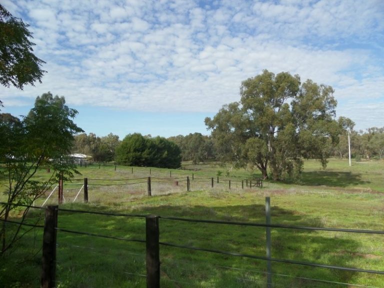 Lot 2, 10- Gundagai Street, Narrandera NSW 2700 - photo 12