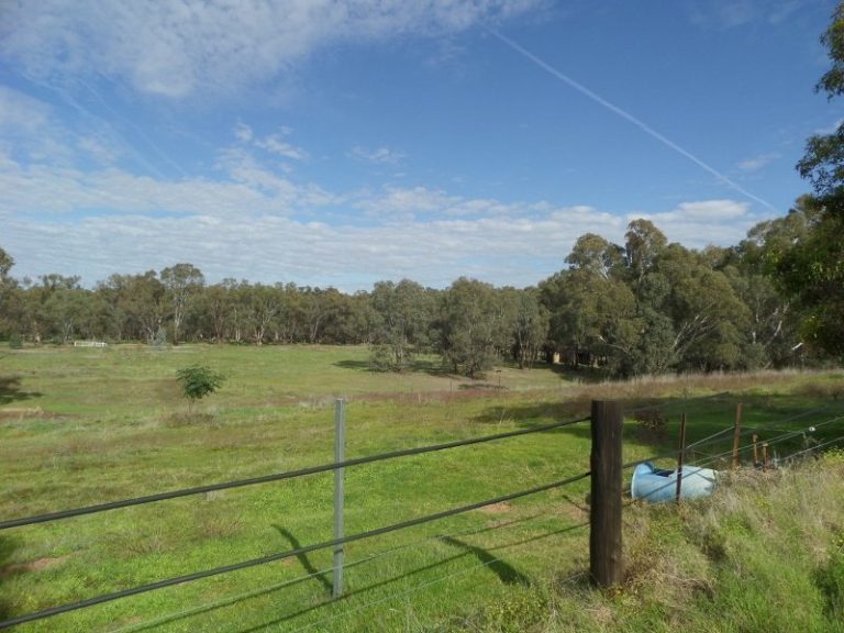 Lot 2, 10- Gundagai Street, Narrandera NSW 2700 - photo 13