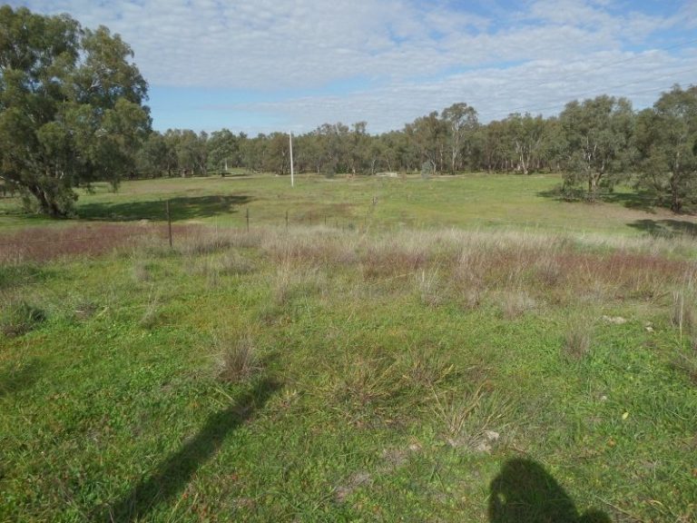 Lot 2, 10- Gundagai Street, Narrandera NSW 2700 - photo 16