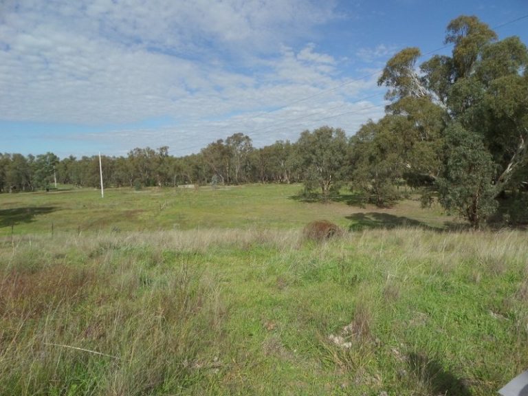 Lot 2, 10- Gundagai Street, Narrandera NSW 2700 - photo 17