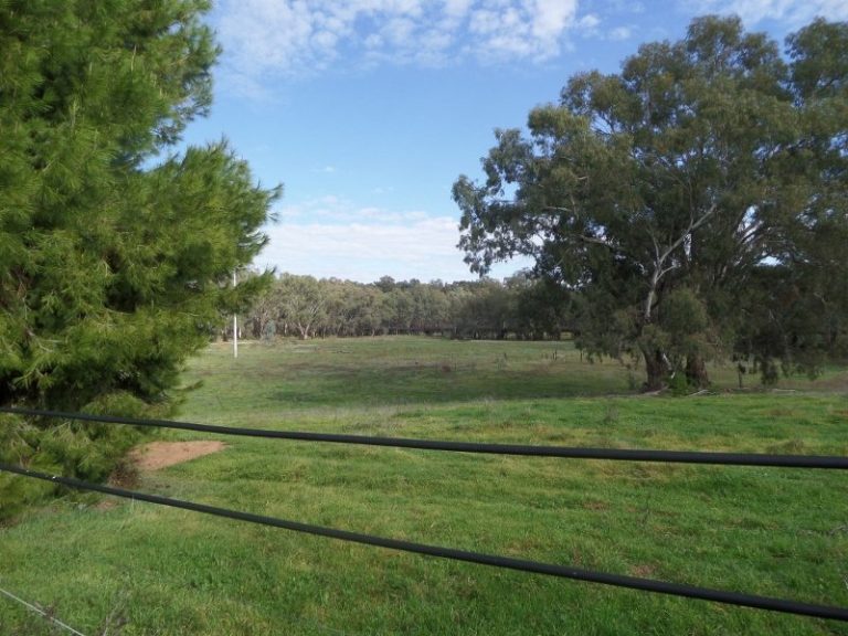 Lot 2, 10- Gundagai Street, Narrandera NSW 2700 - photo 3