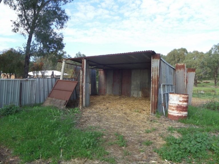 Lot 2, 10- Gundagai Street, Narrandera NSW 2700 - photo 5