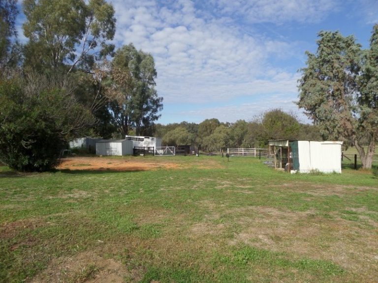 Lot 2, 10- Gundagai Street, Narrandera NSW 2700 - photo 8