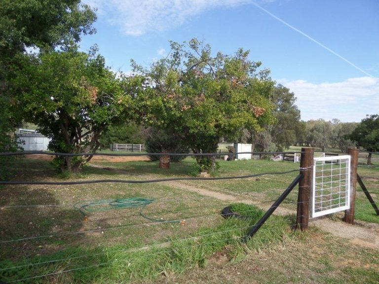 Lot 2, 10- Gundagai Street, Narrandera NSW 2700 - photo 9