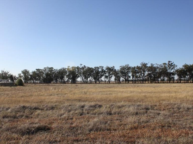 145 Dullah Road, Ganmain NSW 2702 - photo 2