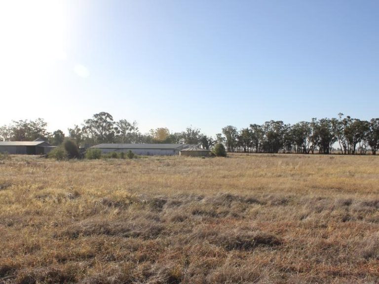 145 Dullah Road, Ganmain NSW 2702 - photo 4