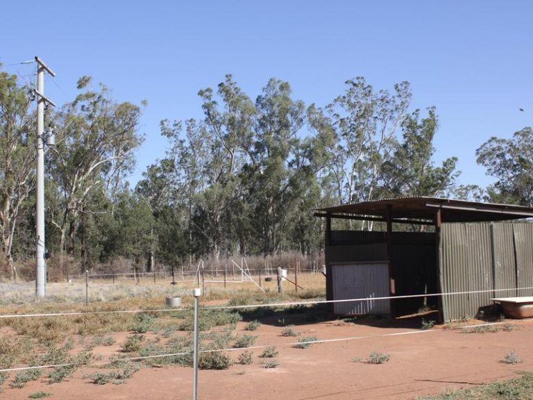 145 Dullah Road, Ganmain NSW 2702 - photo 6