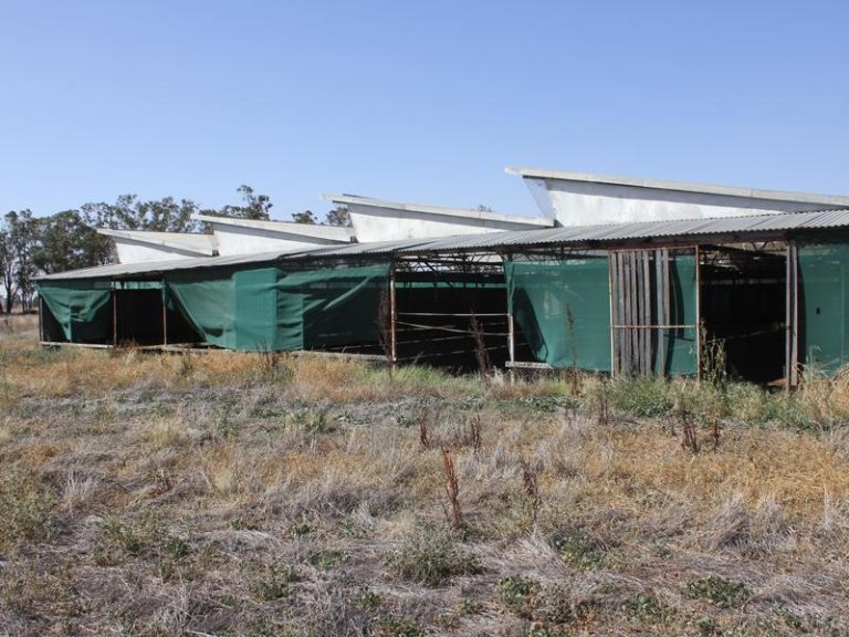 145 Dullah Road, Ganmain NSW 2702 - photo 8