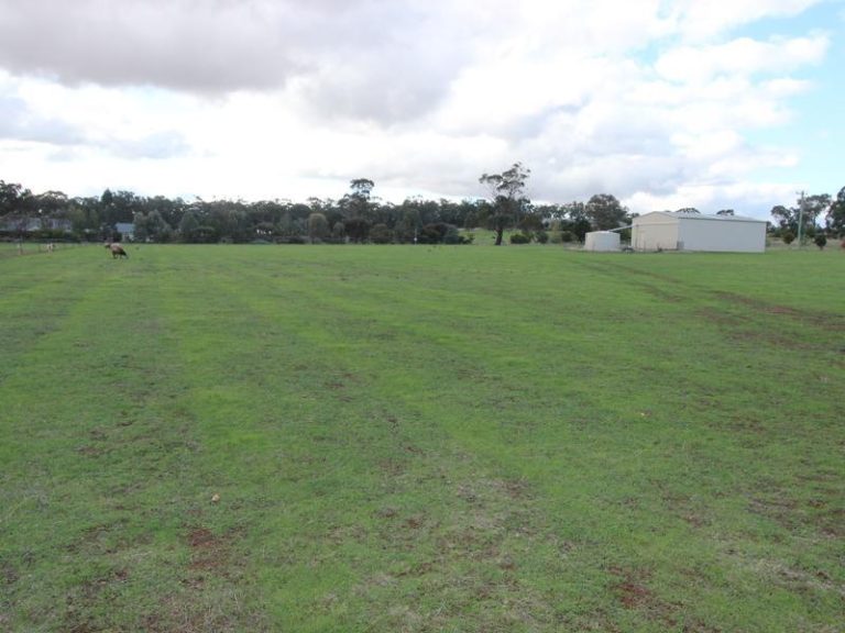 3 Kurrawong Street, Temora NSW 2666 - McGrath Riverina