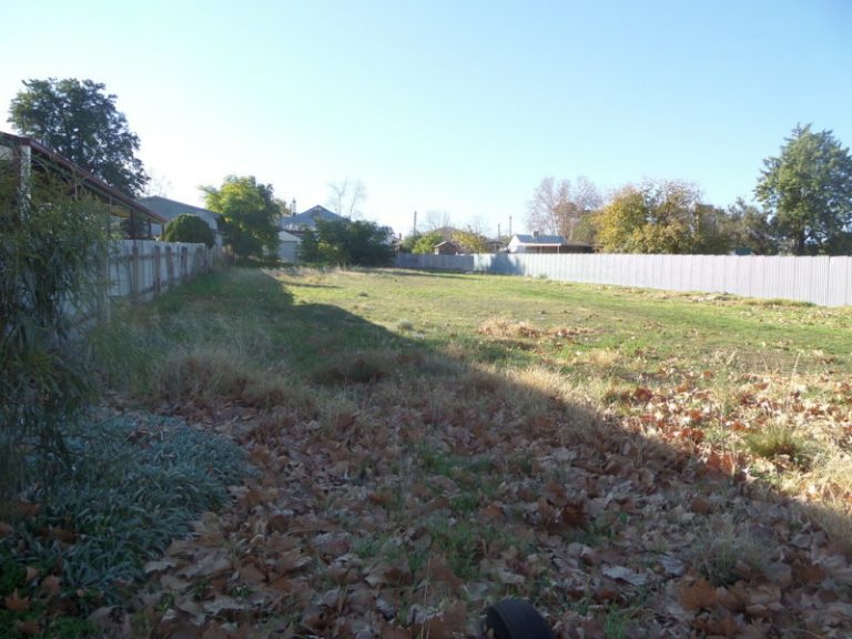 45 King Street, Narrandera NSW 2700 - photo 2