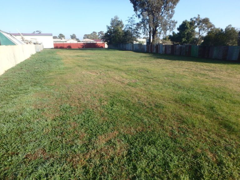 166 Sharpe Street, Temora
