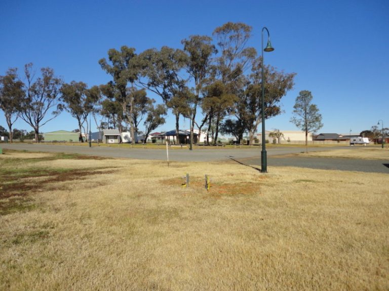 29 Tigermoth Avenue, Temora NSW 2666 - photo 4